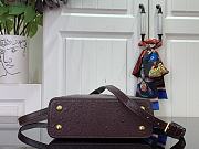 Louis Vuitton LV Mini Capucines Dark Brown Ostrich 21x14x8cm - 5