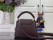 Louis Vuitton LV Mini Capucines Dark Brown Ostrich 21x14x8cm - 4