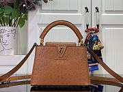Louis Vuitton LV Mini Capucines Brown Ostrich 21x14x8cm - 1