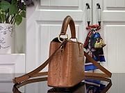 Louis Vuitton LV Mini Capucines Brown Ostrich 21x14x8cm - 5
