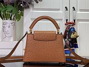 Louis Vuitton LV Mini Capucines Brown Ostrich 21x14x8cm - 3