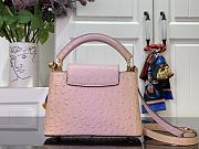 Louis Vuitton LV Mini Capucines Light Pink Ostrich 21x14x8cm - 3
