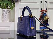 Louis Vuitton LV Mini Capucines Blue Ostrich 21x14x8cm - 5