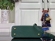 Louis Vuitton LV Mini Capucines Green Ostrich 21x14x8cm - 4