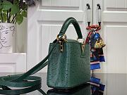 Louis Vuitton LV Mini Capucines Green Ostrich 21x14x8cm - 3