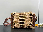 Louis Vuitton LV Side Trunk MM Raffia 23.5x16x8.5cm - 3