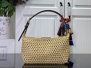 Louis Vuitton LV Hills Pochette Raffia 18.5x11x6.5cm - 4