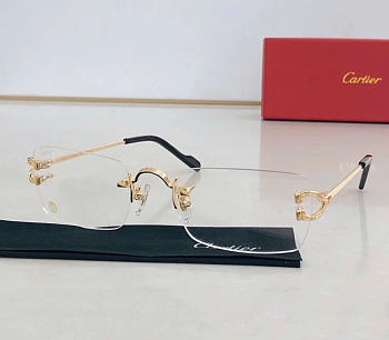 Cartier Sunglasses 05
