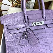 Hermes Birkin 25 Bag Purple Crocodile Silver 25cm - 3