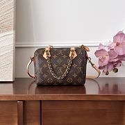 Louis Vuitton LV Speedy Chain 20 Brown 20x15x11cm - 5