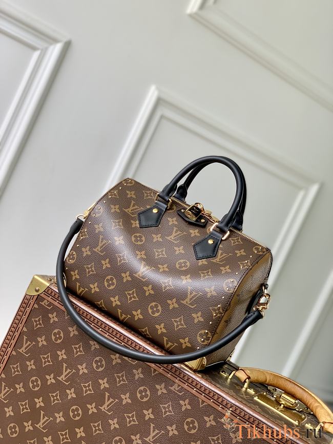 Louis Vuitton LV Speedy Trunk 25 27x20x15cm - 1