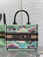Dior Souvenir Medium Dior Book Tote Natural Raffia 36cm - 1