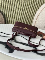 Loro Piana L19 Bag Red Wine Gold 19x11x6.5cm - 6