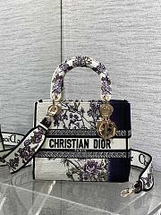 Dior Lady D-lite Multicolor Pivoine 24x11x20cm - 1