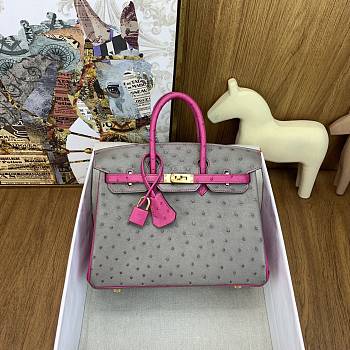 Hermes Birkin 25 Bag Grey Pink Gold Ostrich 25cm