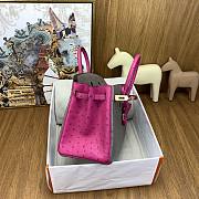 Hermes Birkin 25 Bag Grey Pink Gold Ostrich 25cm - 4