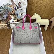 Hermes Birkin 25 Bag Grey Pink Gold Ostrich 25cm - 3