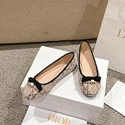 Dior Ballet Flat Beige Tweed - 1