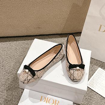 Dior Ballet Flat Beige Tweed