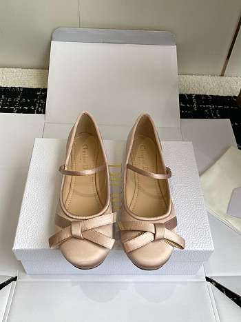 Dior Lovely-D Ballet Flat Nude Satin