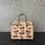 Valentino Garavani Small Shopping Bag Raffia Cherryfic 22x19x12cm - 2