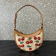 Valentino Vlogo Mini Hobo Bag Raffia Cherryfic 20x12x4cm - 1