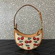 Valentino Vlogo Mini Hobo Bag Raffia Cherryfic 20x12x4cm - 5