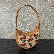 Valentino Vlogo Mini Hobo Bag Raffia Cherryfic 20x12x4cm - 4