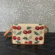 Valentino Raffia Cherry Mini Bag 20x12x5cm - 5