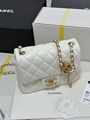 Chanel 25B Flap Bag White Lambskin Gold 18x13.5x7cm - 5