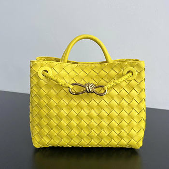 Bottega Veneta Small Andiamo Yellow Bag 25x22x10.5cm