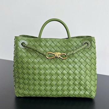 Bottega Veneta Medium Green Andiamo 32.5x24x12cm