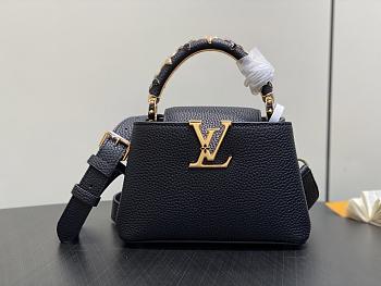 Louis Vuitton LV Capucines Mini Bag Black 21x13.6x8cm