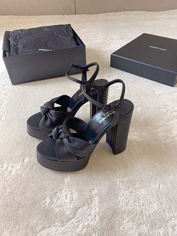 YSL Bianca Leather Platform Black Sandals 120mm
