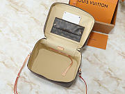 Louis Vuitton LV Nice Vanity Bag 31.5x20x21cm - 5
