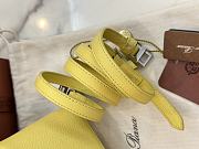 Loro Piana L19 Bag Yellow Silver 19x11x6.5cm - 5