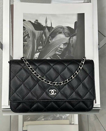 Chanel Woc Wallet Chain Bag Caviar Black Silver 19x12x3cm