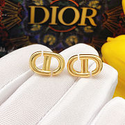 Dior Earings - 4