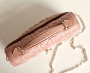 Dior My Dior Mini Bag in Cannage lambskin in pink size 21cm - 4