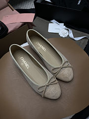 Chanel 25 Ballet Flat Grey-taupe Suede - 2