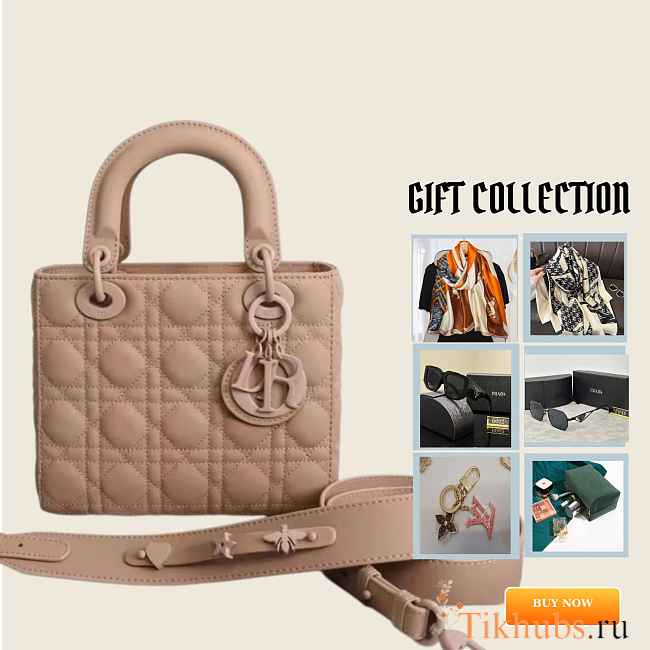 Dior Small Lady Bag Matte Pink 20cm - 1