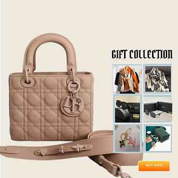 Dior Small Lady Bag Matte Pink 20cm