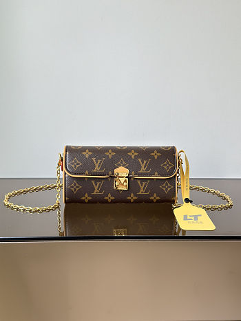 Louis Vuitton Pochette Camille M13566 size 20.5x11x6cm