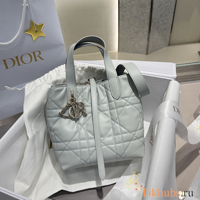  Dior Toujours Vertical Tote Bag 16*18*12cm - 1