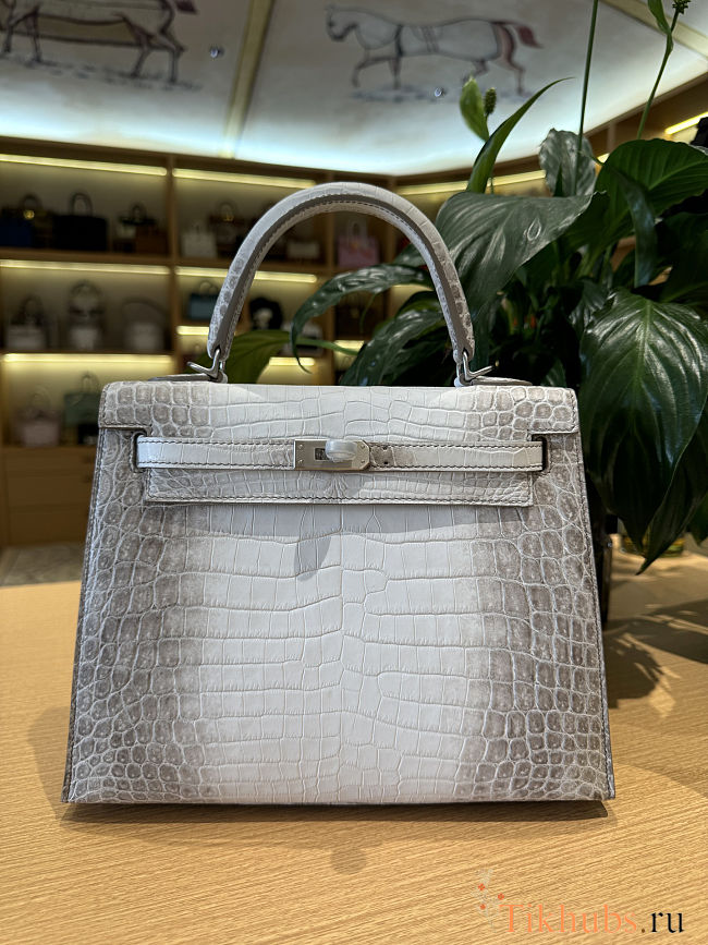 Hermes Himalaya Matte Niloticus Crocodile Leather Kelly 25 Bag - 1