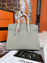 HERMES Birkin 25 Touch Matte Alligator Gris Perle Gold Hardware - 6