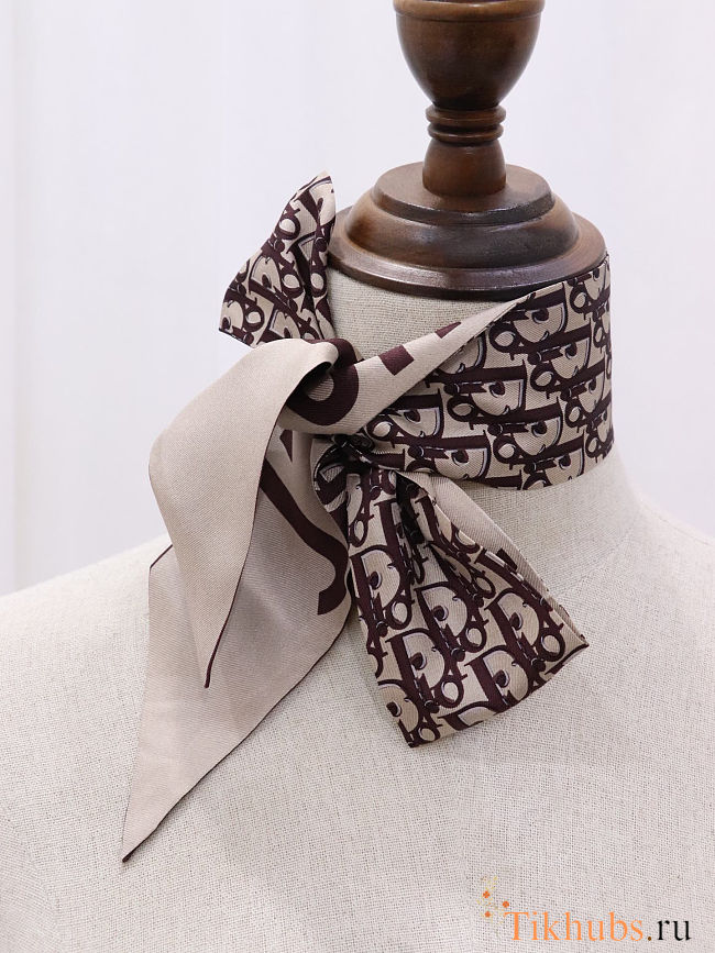  Dior Bag Scarf - 1