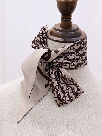  Dior Bag Scarf