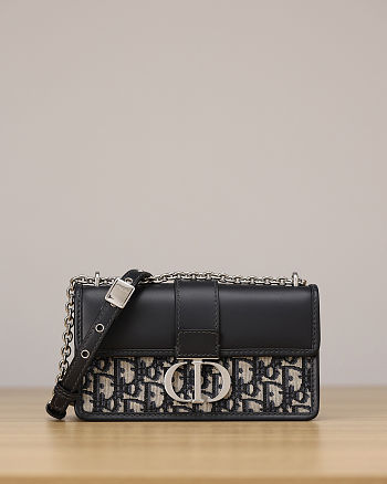 Dior 30 Montaigne East-West bag with chain 21x12x6 cm