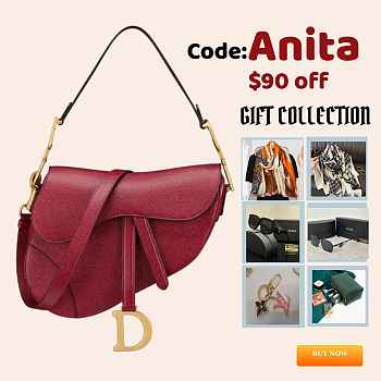 Dior Mini Saddle With Strap Red Gold 24x6x18 cm